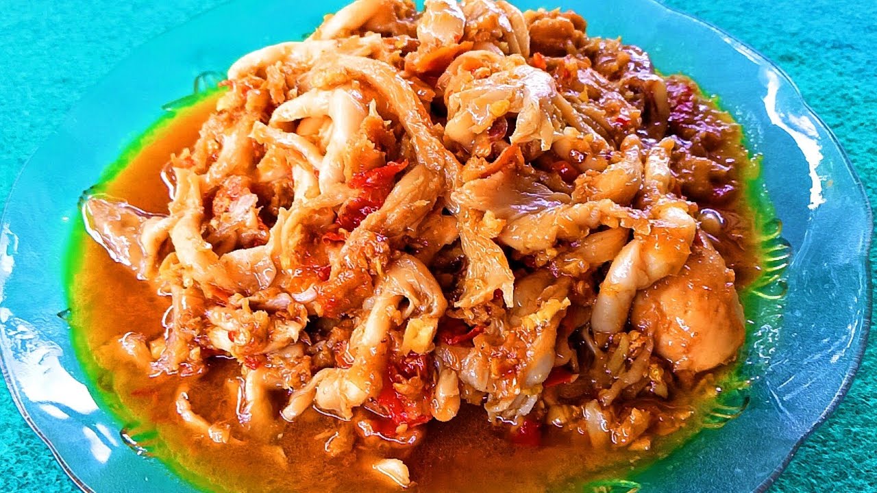 Tumis Ayam Jamur Tiram Pedas Nambah Selera Makan ⁉️ Resep Masak Olahan Masakan Sehari-hari 