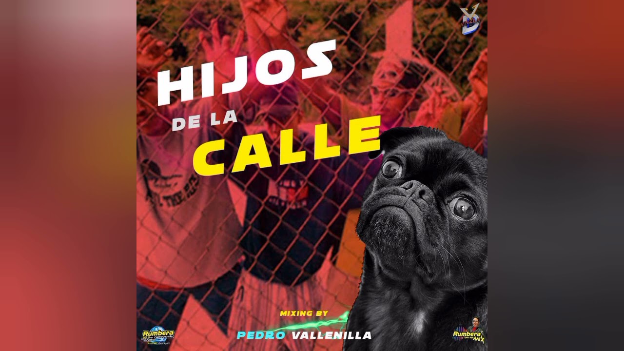 Hijos de la calle mix - Pedro Vallenilla