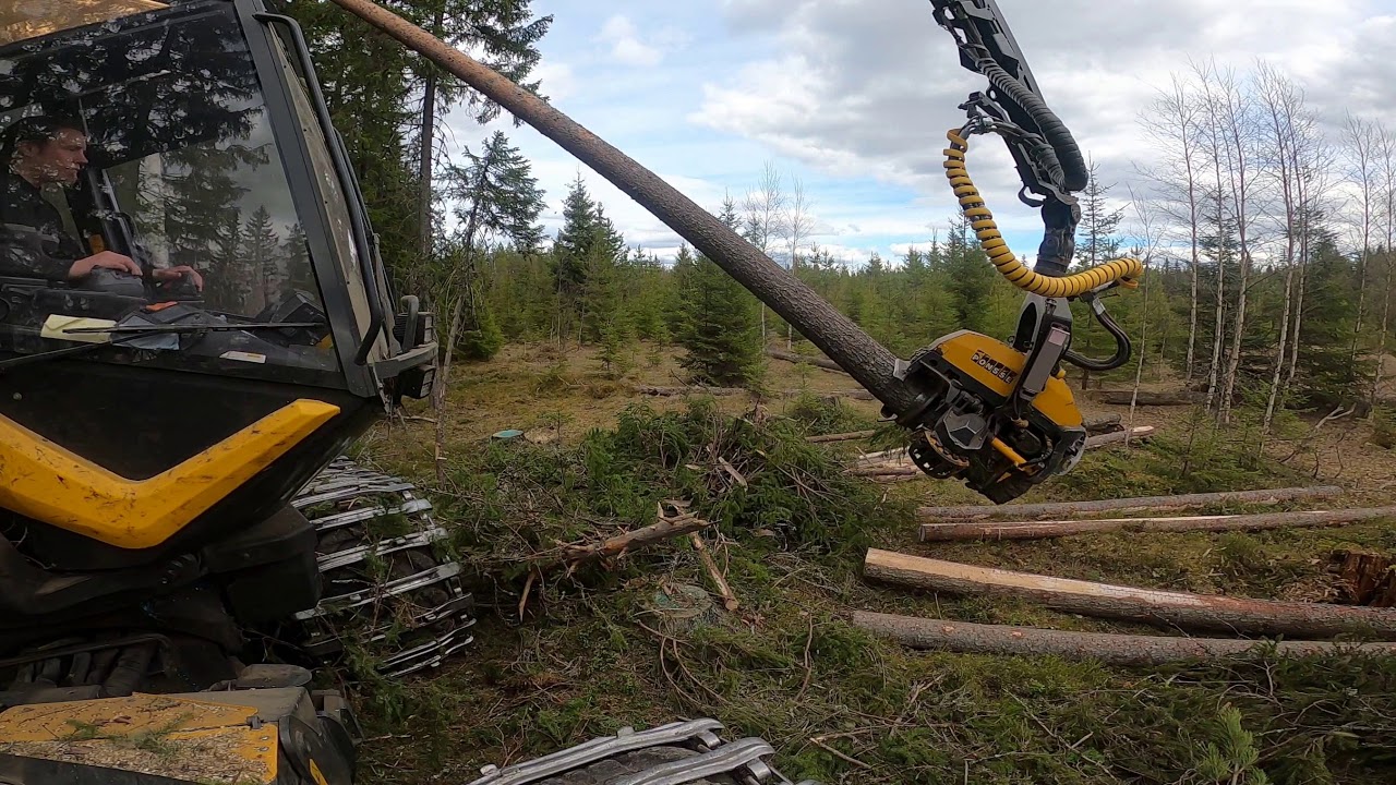 Koneen kyljestä kuvattu avohakkuuta. Ponsse Scorpion King H7.