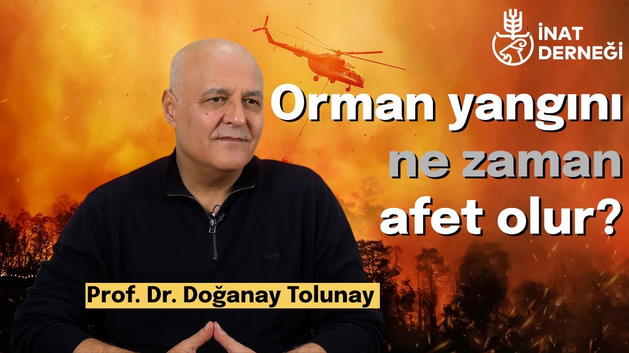 Orman yangınları kader mi? Afete dönüşen süreci konuşuyoruz / Prof. Dr. Doğanay Tolunay