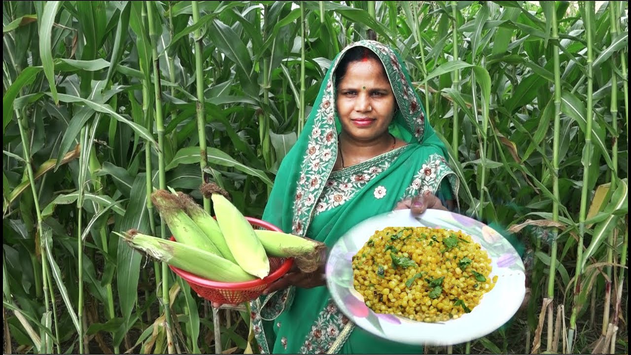 बरसात में बनाये चटपटे कुरकुरे स्वीट कॉर्न ।। Crispy sweet corn from fresh FARM collection