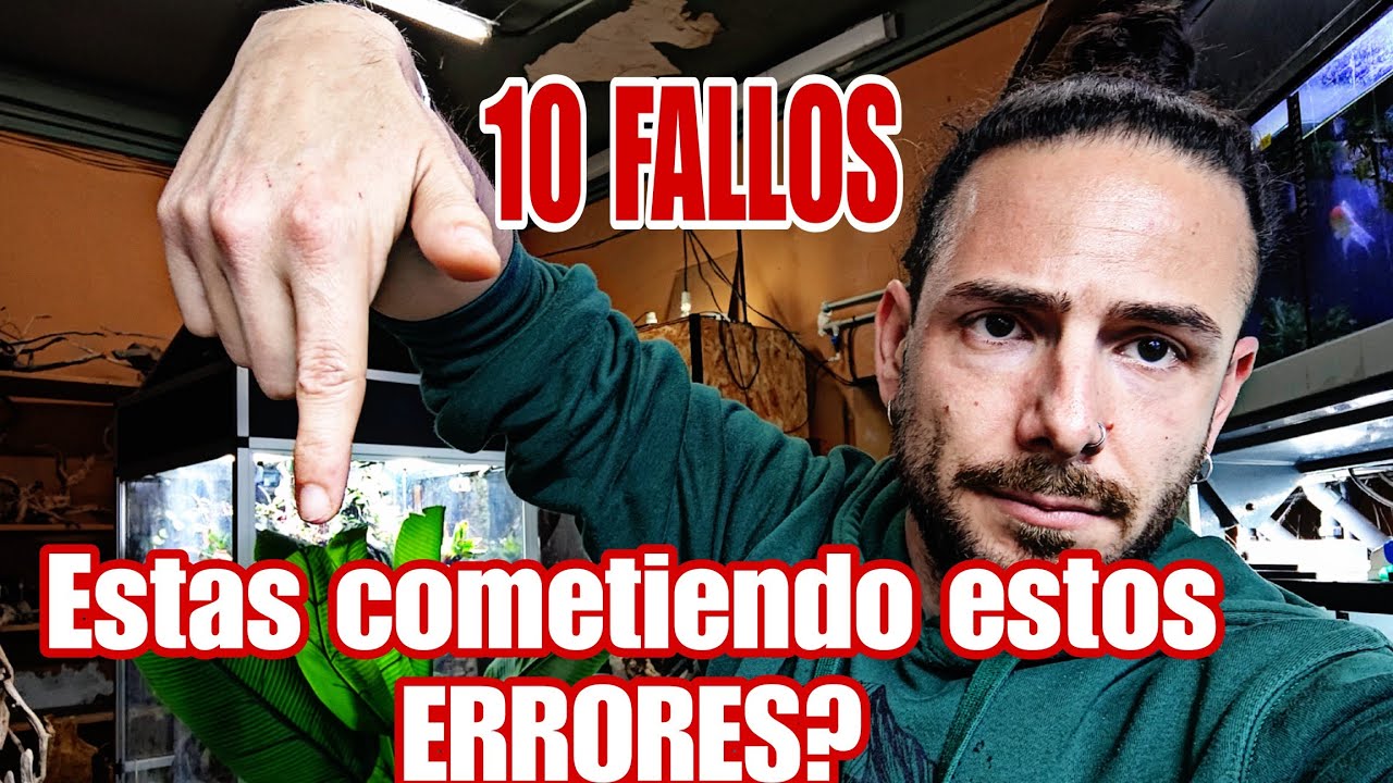 NO COME TU REPTIL? NO COME TU RANA? Te cuento 10 MOTIVOS por los que no lo hace. 🐸🐍🦎🐢