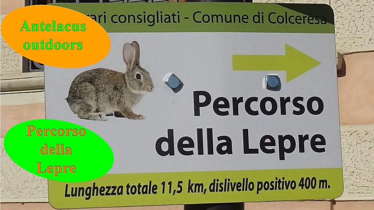 Percorso della Lepre - Da Mason Vicentino nel comune di Colceresa (Prealpi vicentine)