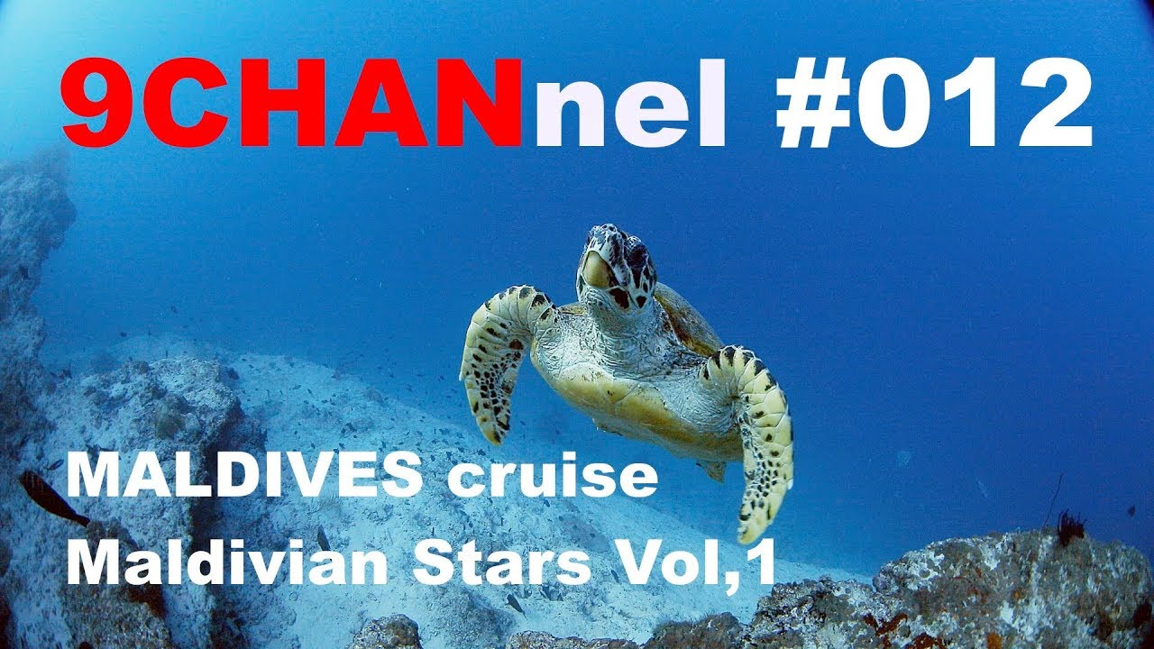 9CHANnel #012 モルディビアン・スターズ前編 / Maldives, MALDIVIAN STARS Vol,1. 【スキューバダイビング番組】