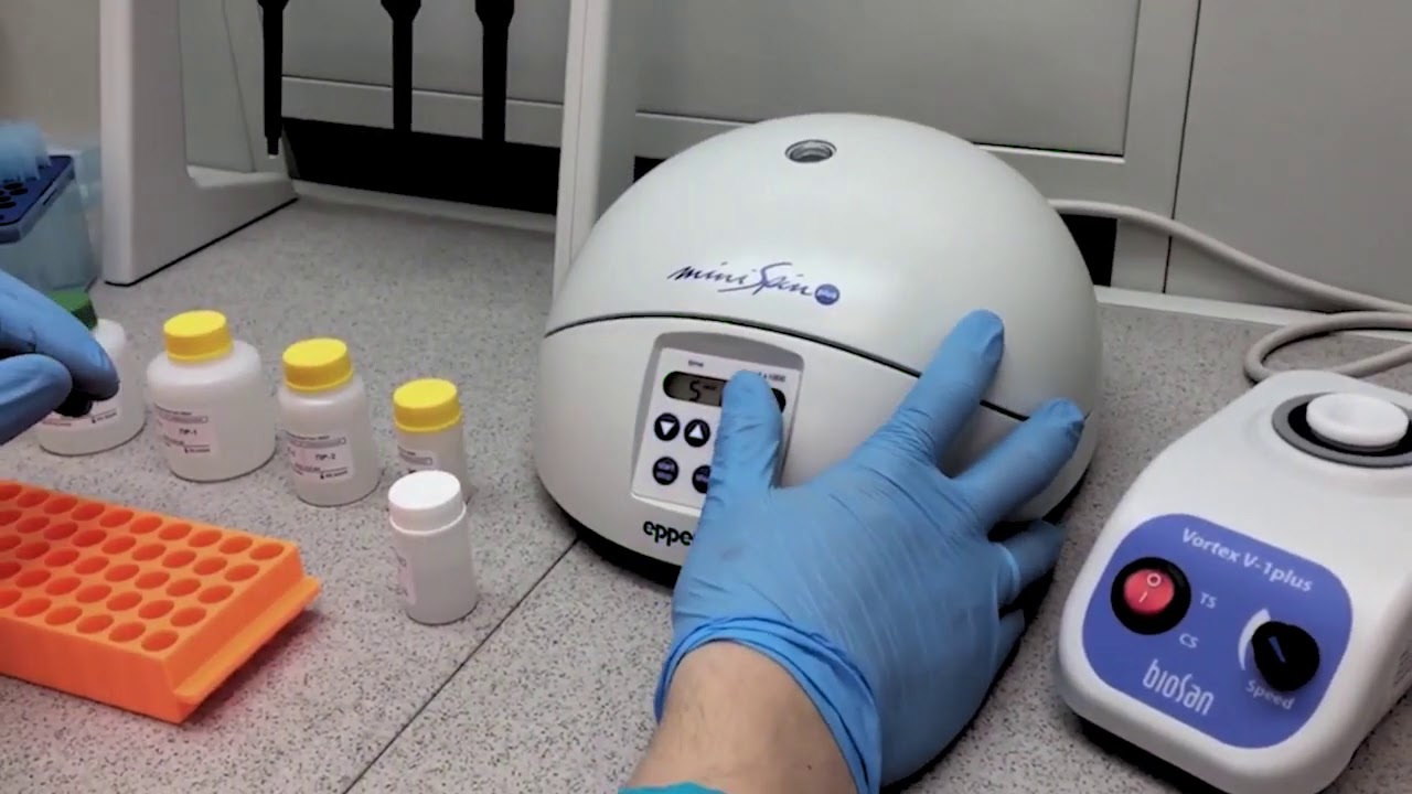 Видеоинструкция к набору Camomile Sars-Cov-2 ПЦР