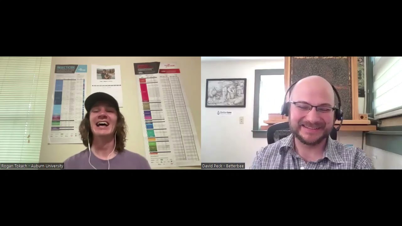 Interview With Experts: Rogan Tokach on Tropilaelaps mites - Ongoing research on a deadly pest