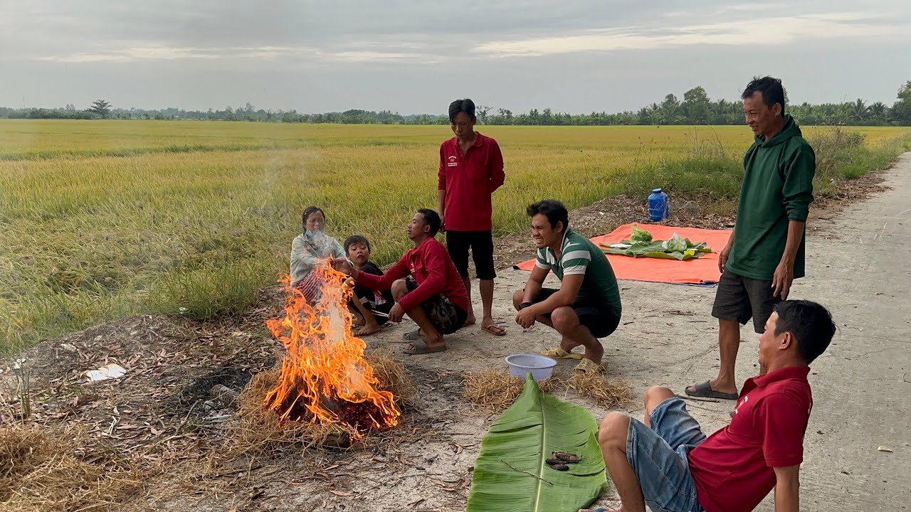 Cá nướng thưởng thức trên đồng lúa chín || Video làm trước khi Văn Xinh Đoàn phát bệnh VXĐ 862