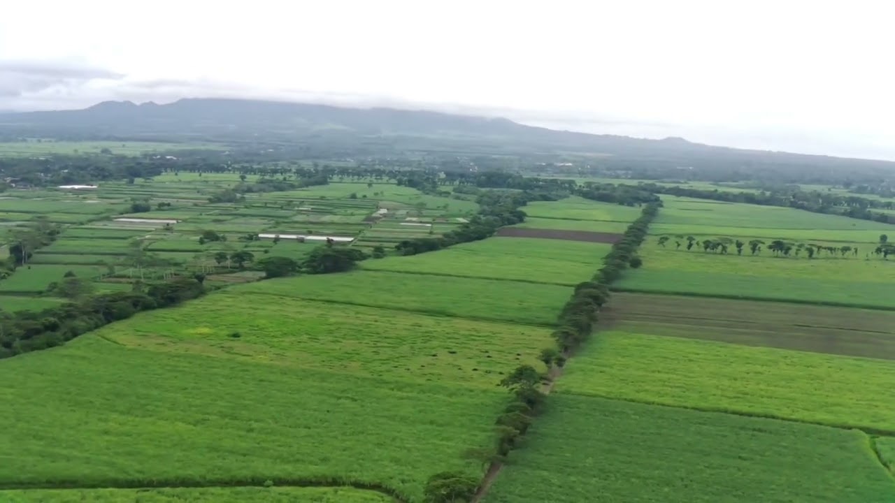 SUASANA PAGI GRIMIS NERBANGIN DRONE