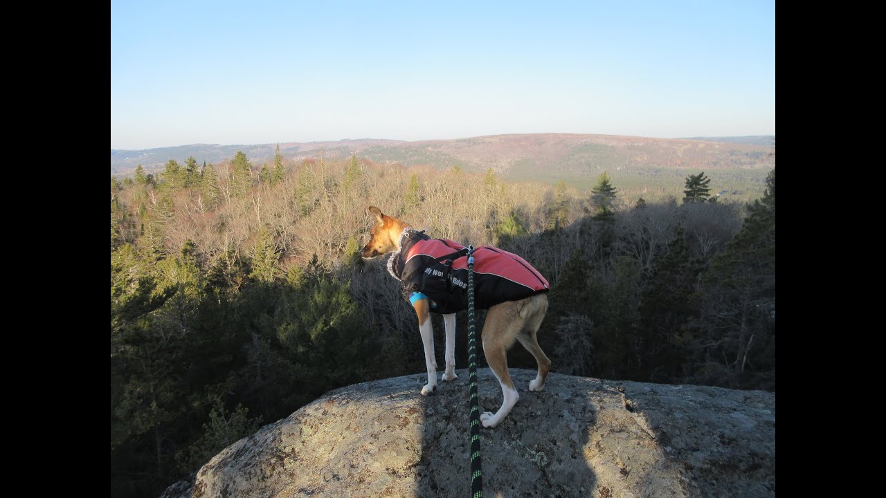 2021 03 20 Kya Hiking Northern Ontario Crown Land