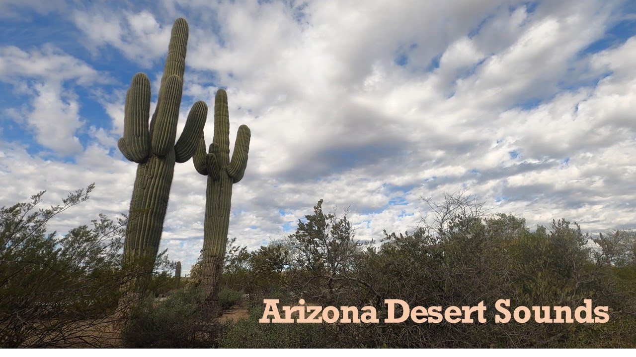 Arizona Desert Sounds: Relaxing Nature Ambience for Meditation and Sleep  #naturesounds