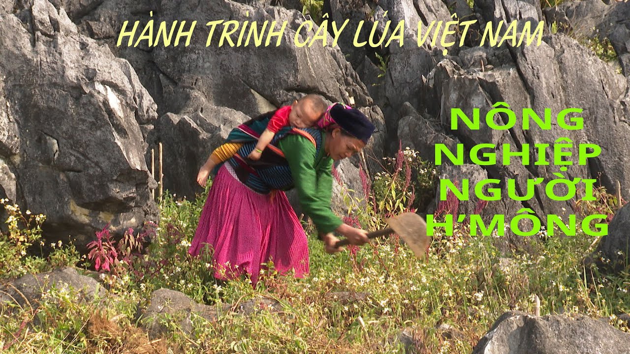 NGƯỜI H'MÔNG-THỔ CANH HỐC ĐÁ