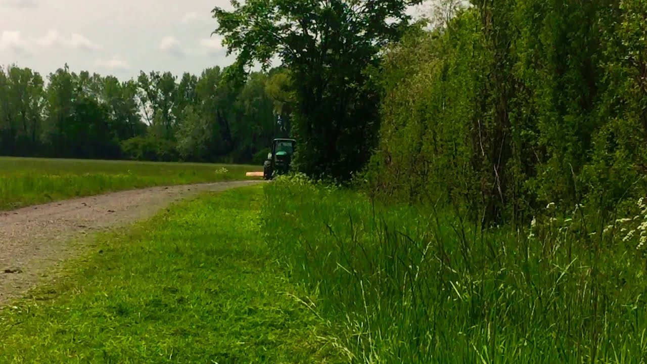 Broyage de bord de route
