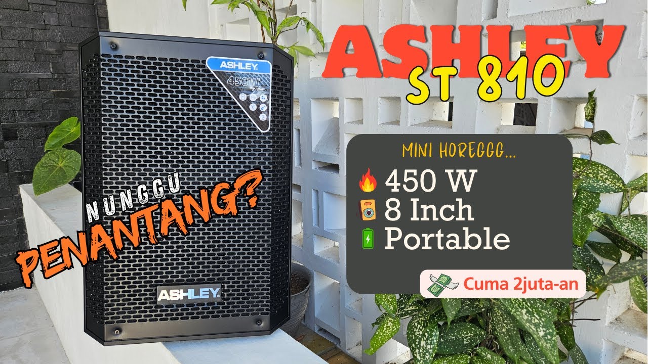 2 Juta-an🔥Speaker Horeg 8 inch, Menunggu Penantang? Review Ashley ST-810