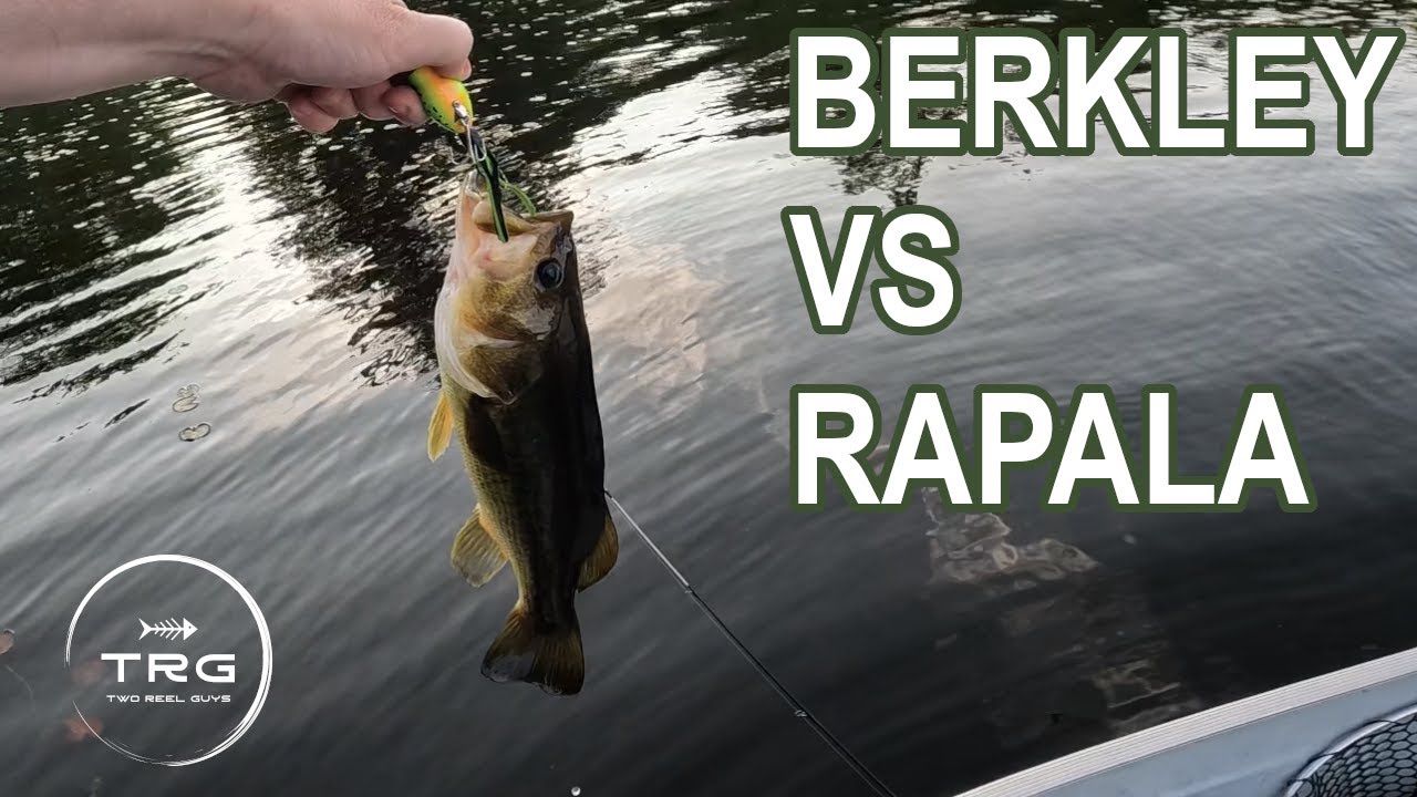 Berkley Flicker Shad versus the Rapala Shad Rap.