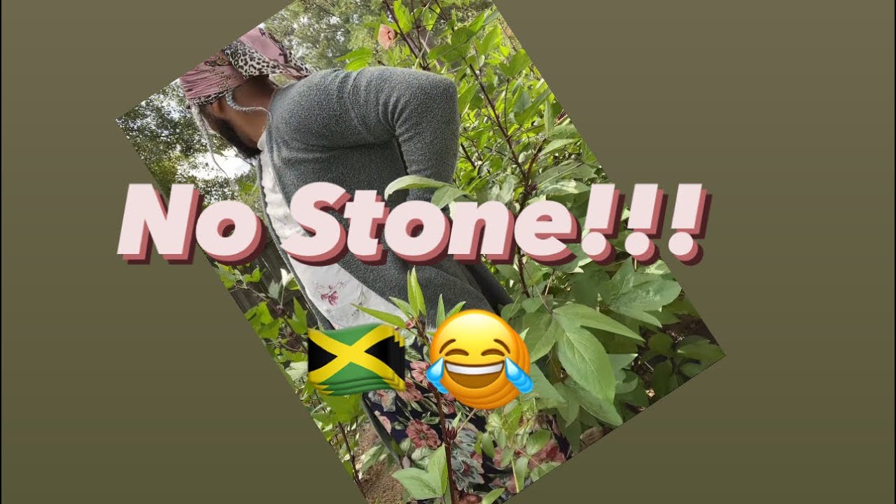 No stone! Jamaican memory lane!