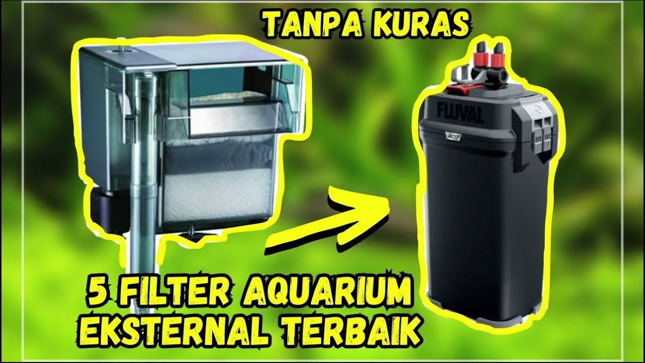 Aquarium Jernih Maksimal! 5 FILTER EKSTERNAL AQUARIUM Terbaik | Aquazone