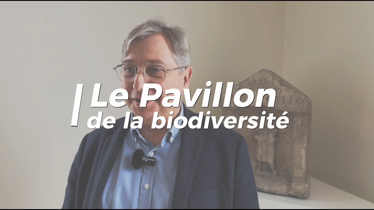 🎙️ 𝗜𝗻𝘁𝗲𝗿𝘃𝗶𝗲𝘄 𝗳𝗹𝗮𝘀𝗵 : 𝗹𝗲 𝗣𝗮𝘃𝗶𝗹𝗹𝗼𝗻 𝗱𝗲 𝗹𝗮 𝗯𝗶𝗼𝗱𝗶𝘃𝗲𝗿𝘀𝗶𝘁𝗲́
