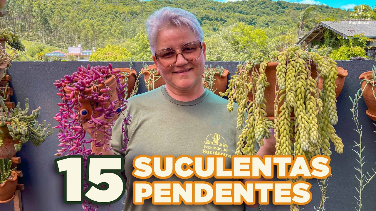 15 LINDAS SUCULENTAS PENDENTES PARA TER EM CASA