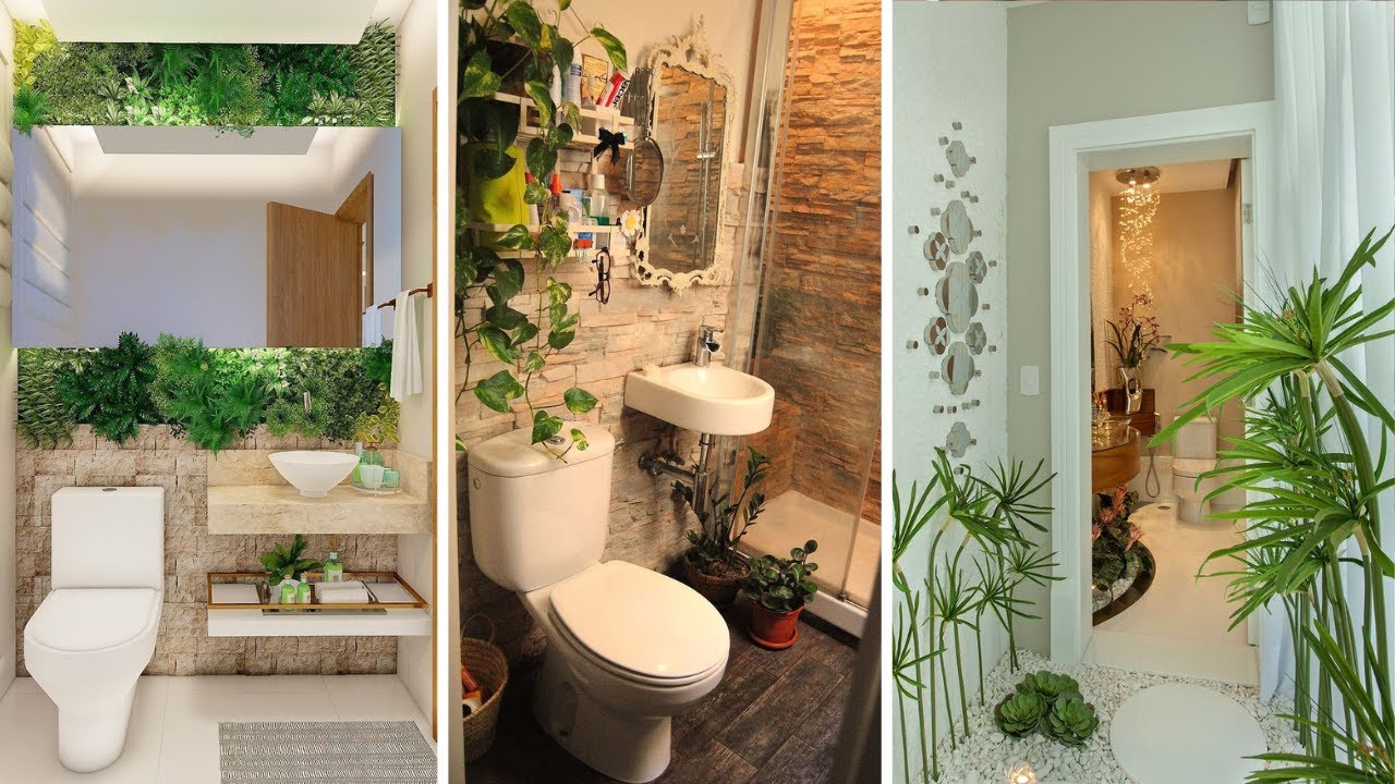 +377 iDEAS inspiradoras de PLANTAS PARA EL BAÑO con 40 ESPECIES que aportan más frescura al ambiente