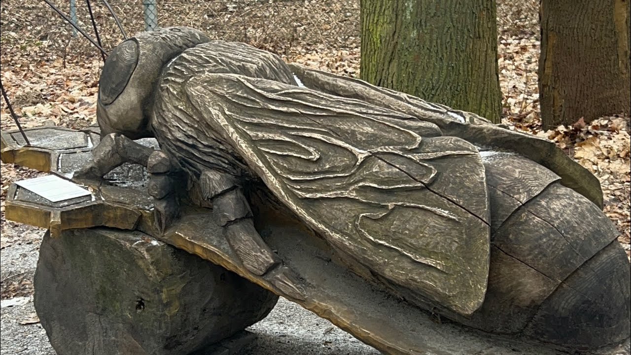 Dębina. Poznańska enklawa przyrody i historii .