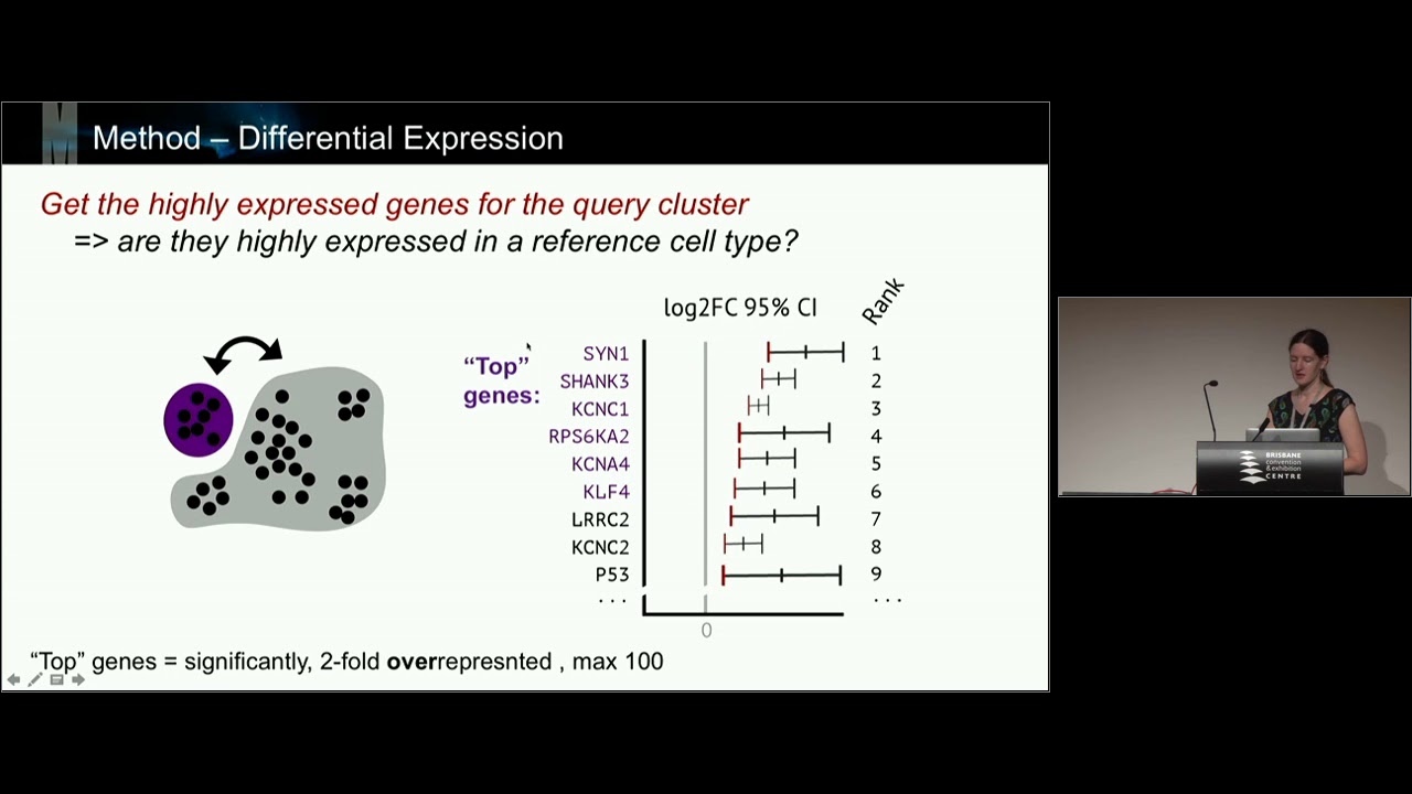 Celaref: Annotating single-cell RNAseq clusters by similarity to reference datasets