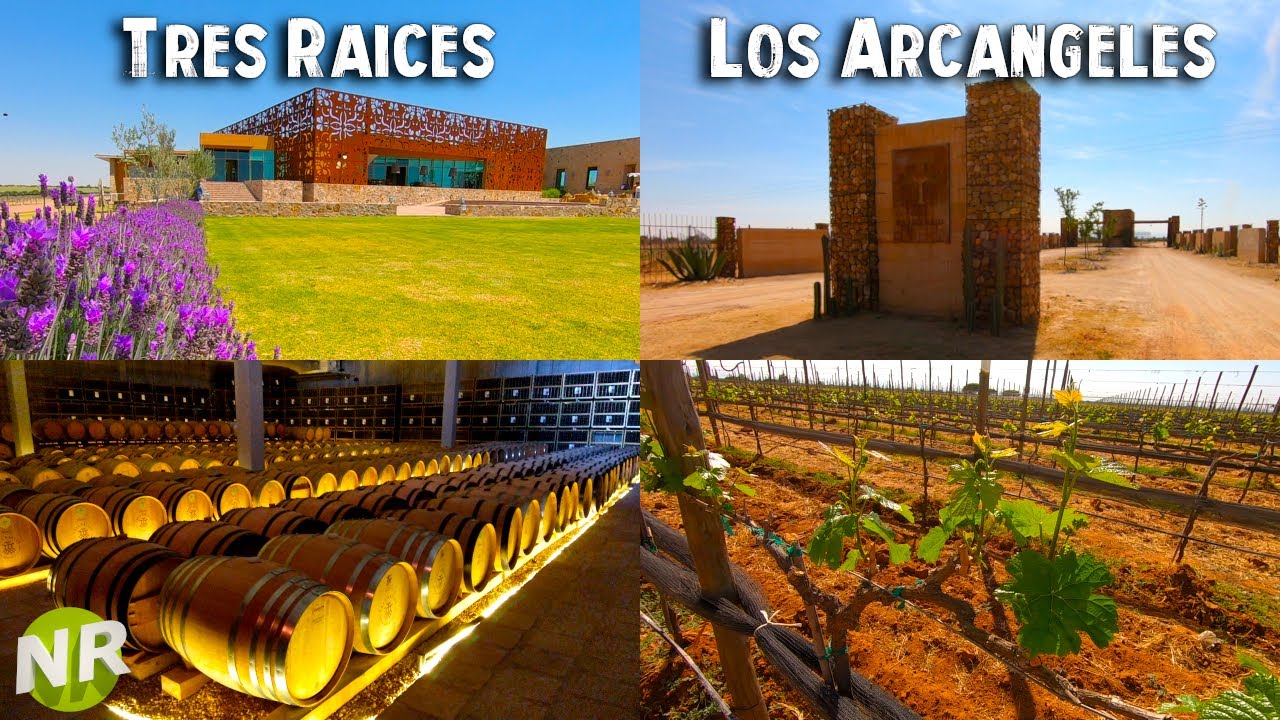DOLORES HIDALGO GUANAJUATO Ruta de Vinos - Viñedo Tres Raices y Viñedo Los Arcangeles Noecillo