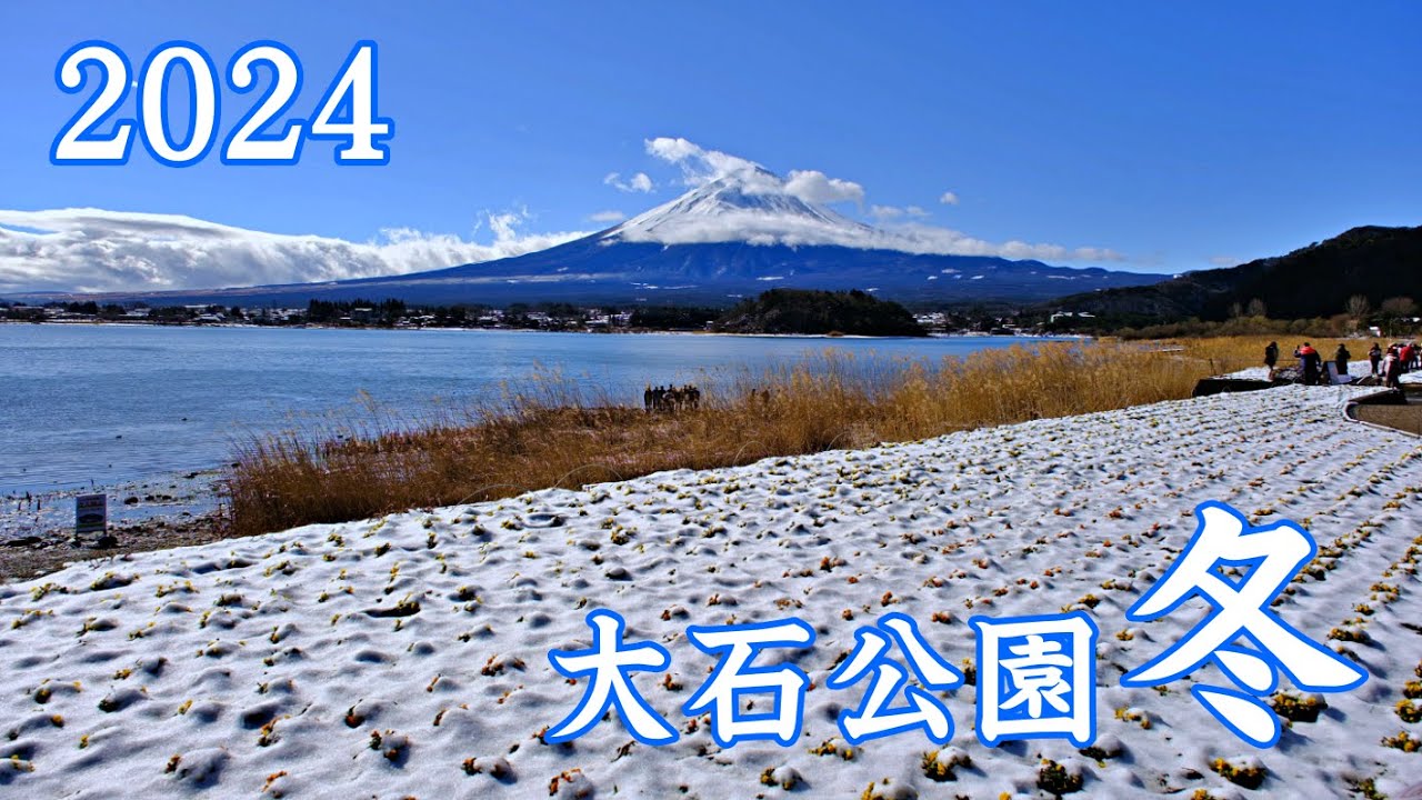 冬の大石公園 2024 富士河口湖 ｜Oishi Park ｜山梨観光スポット