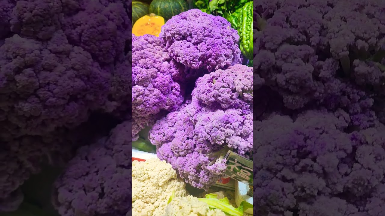 purple cole flower