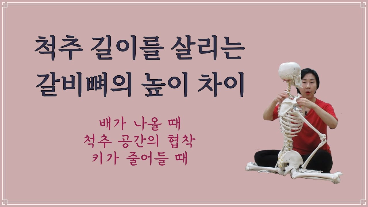 [마름모코어 시즌 1-296] 갈비뼈 높이 차이 / 갈비뼈의 앞뒤 높이 차이를 찾으면 척추가 살아난다 / 반중력을 만드는 힘