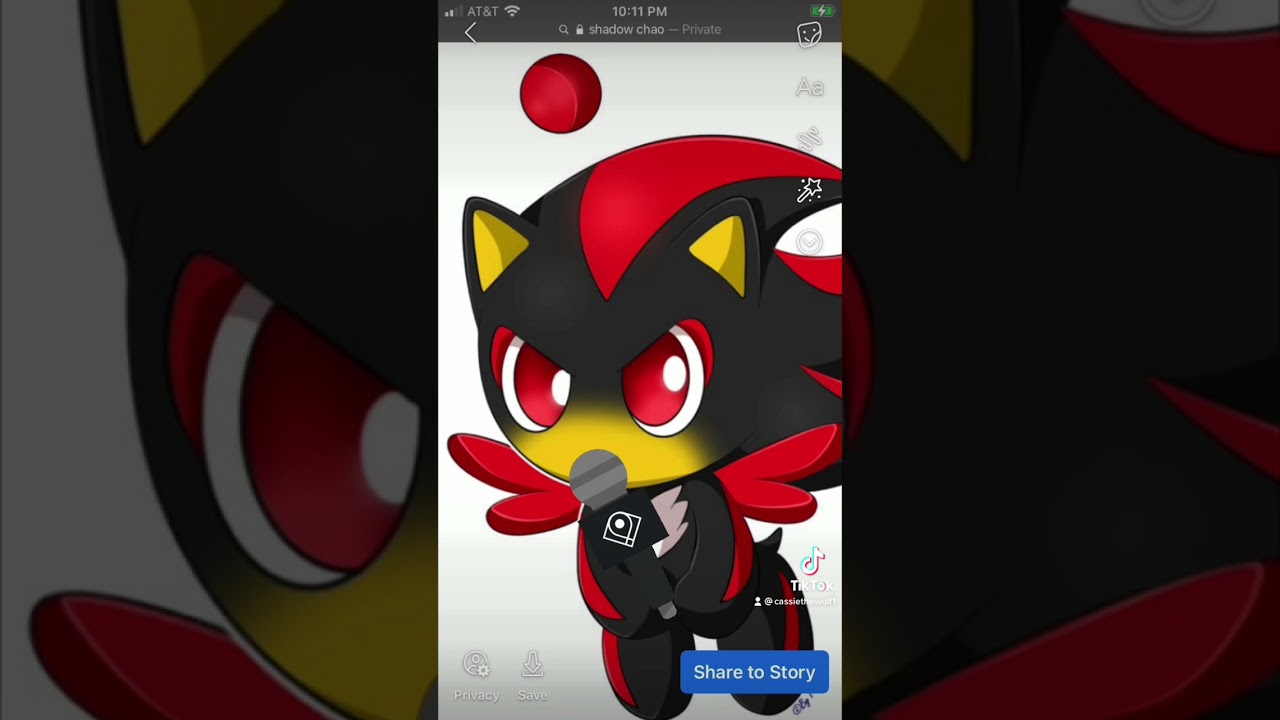 Mine pet chao singing name shadow chao