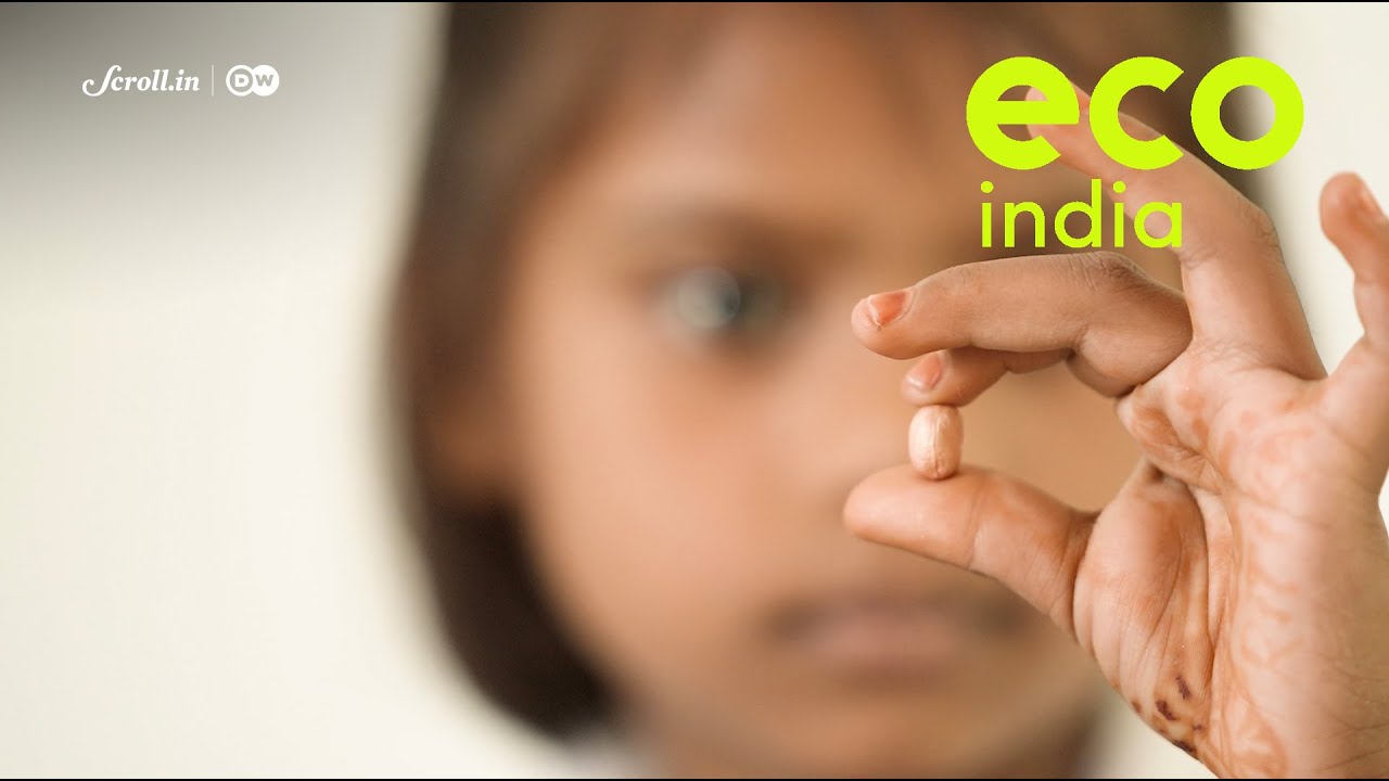 Eco India: How Unnao girls are breaking gender stereotypes by learning about sustainable agriculture