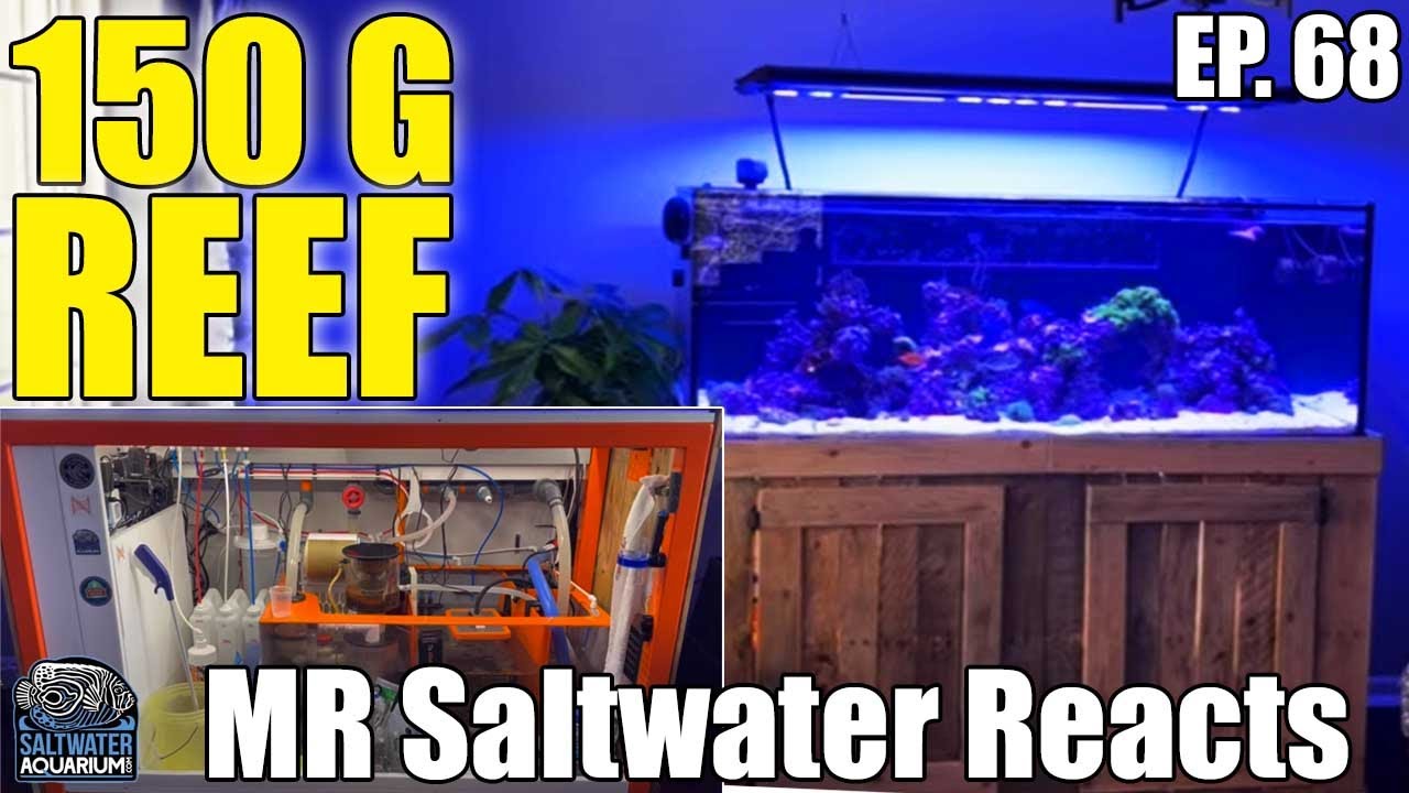 150 Gallon REEF Tank w/ Organized Refugium & Aquarium Control Panel - MR Saltwater Reacts