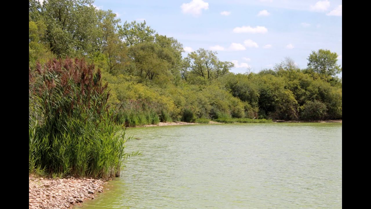 Lake Renwick Preserve   Copley Nature Park