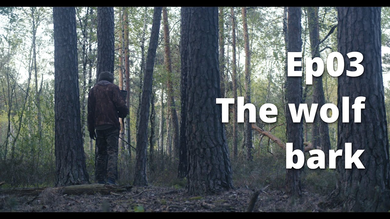 The wolf bark - Ep03