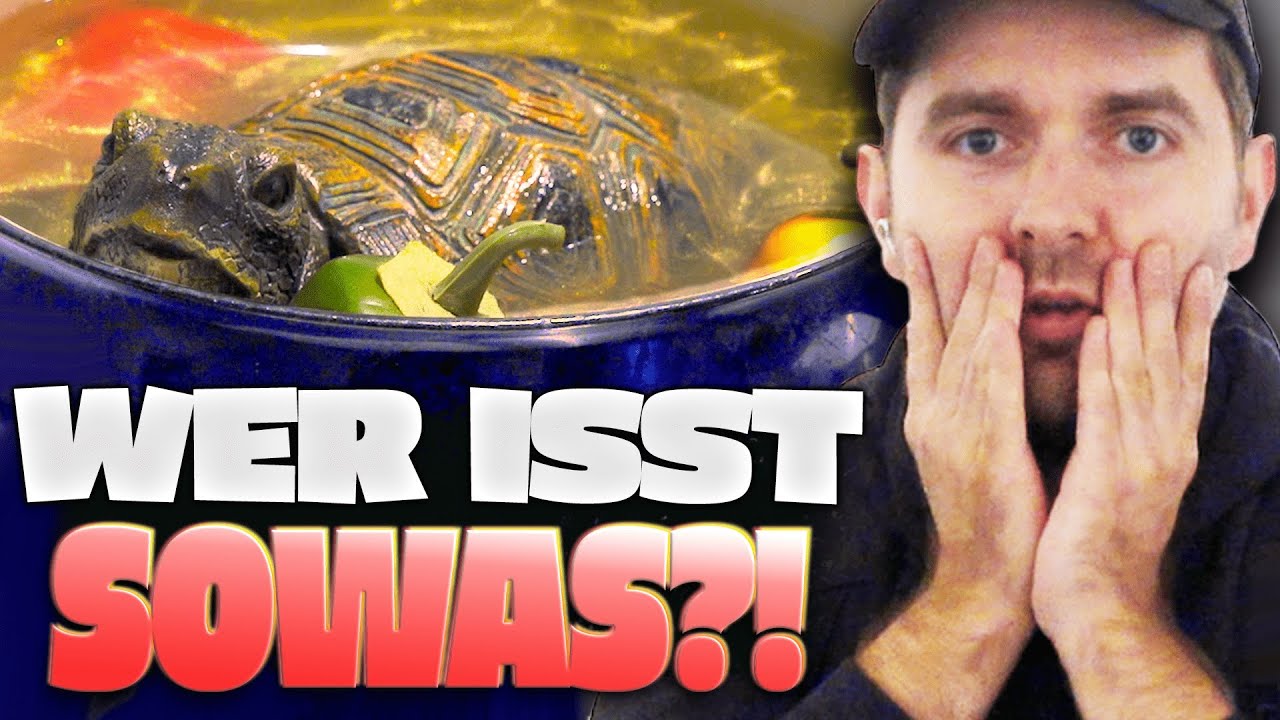 Nichts für schwache Nerven! 😅 Disgusting Food Museum in Berlin 🤢