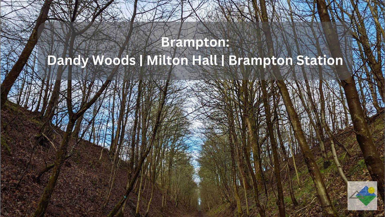 Brampton: Exploring Dandy Woods | Milton Hall | Brampton Station 4K
