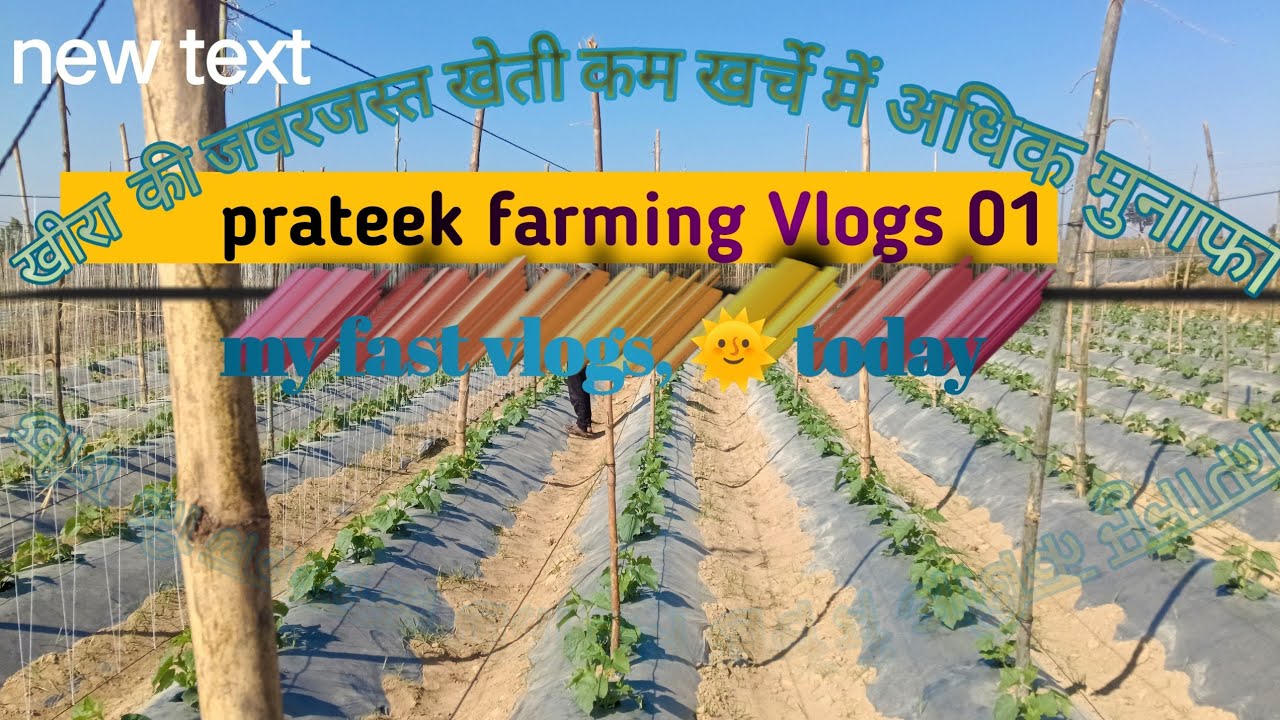 खेती-बाड़ी की सही जानकारी, सीधे किसान भाईयों के लिए 🌱#प्रतीक farmjngVlogs#newTrendi