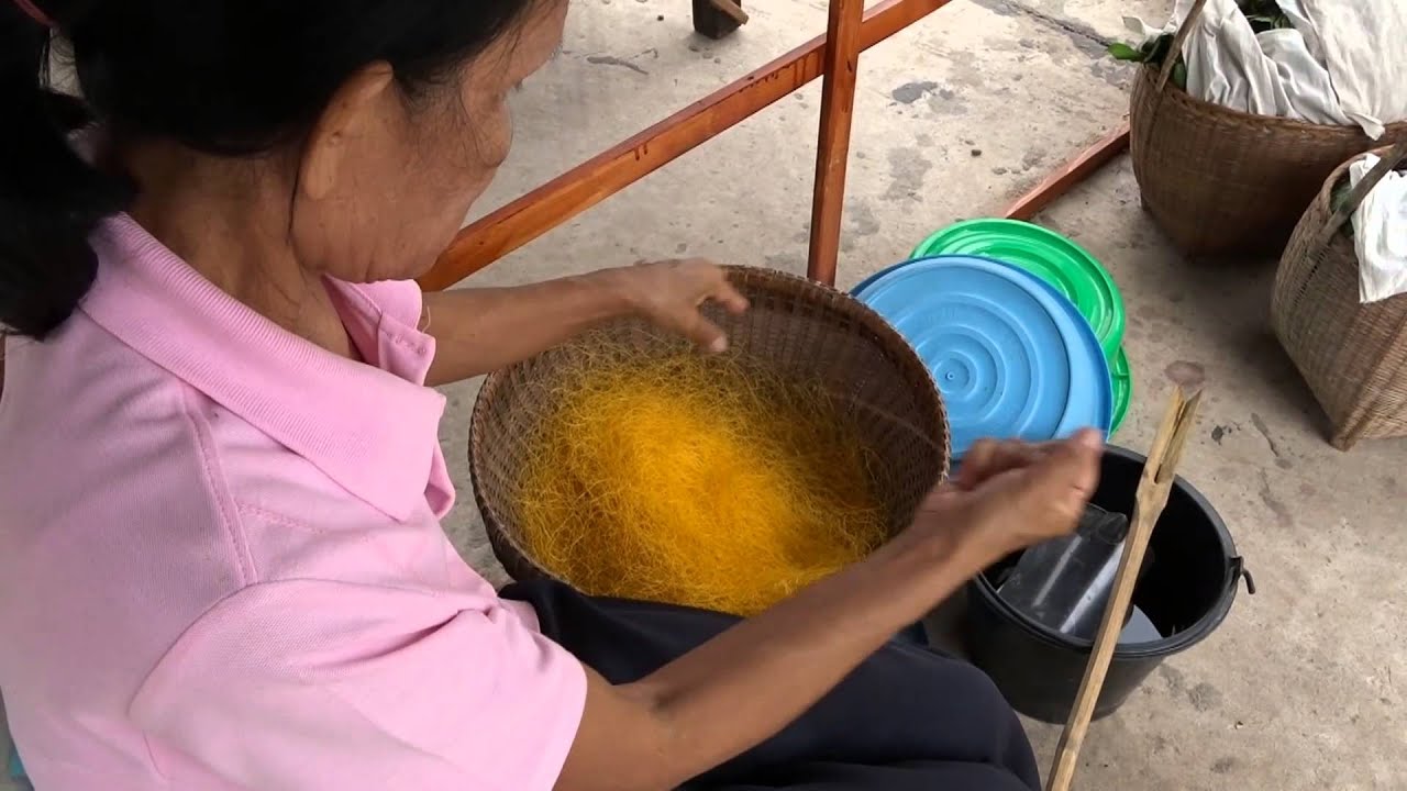 Zijde spinnen / Silk spinning in Khon Kaen, Thailand