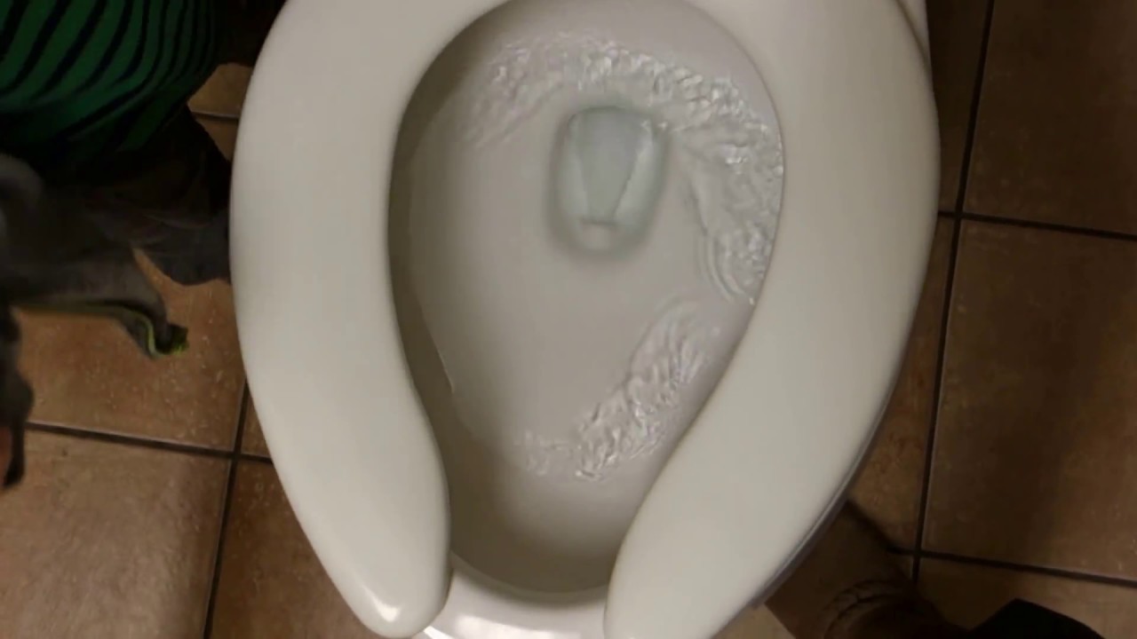 Petsmart Women's and Men's Rooms