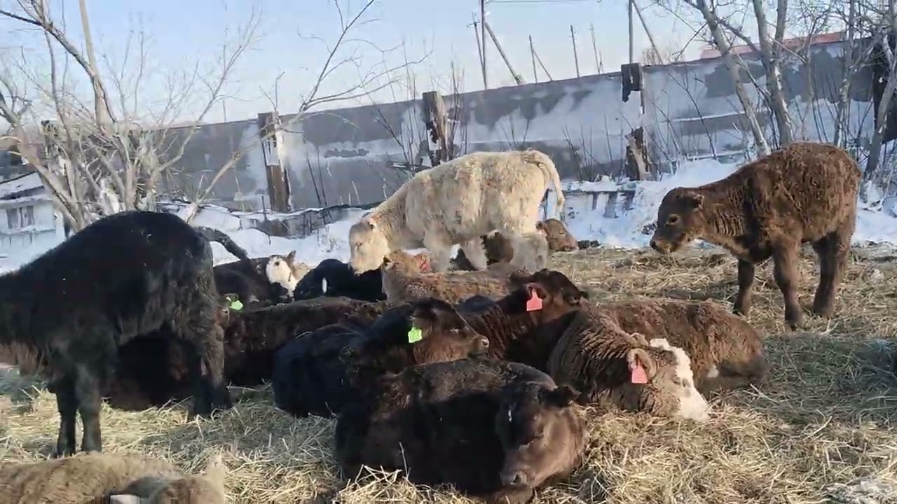 Мартовские погодные сюрпризы.