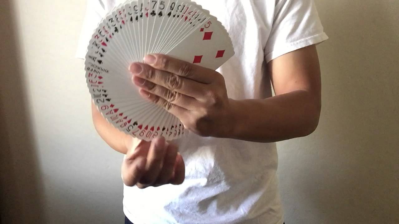Tally ho circle back review