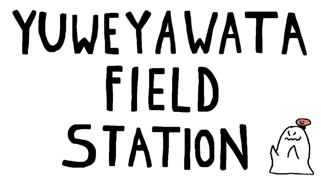 FFXIV - Dawntrail - Yuweyawata Field Station - Long Guide