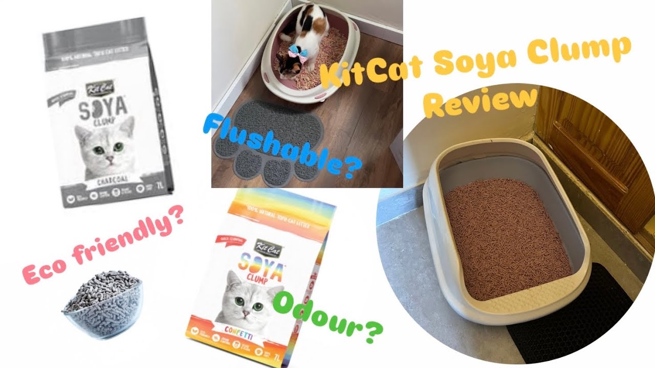 KitCat Soya Clump Litter Review 🐱🐈