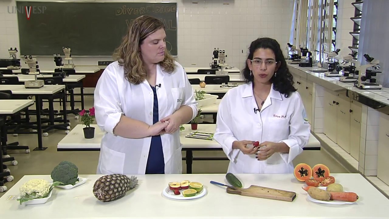 Práticas para o Ensino de Biologia I - Aula 11 - Estratégias para abordar a diversidade vegetal 1