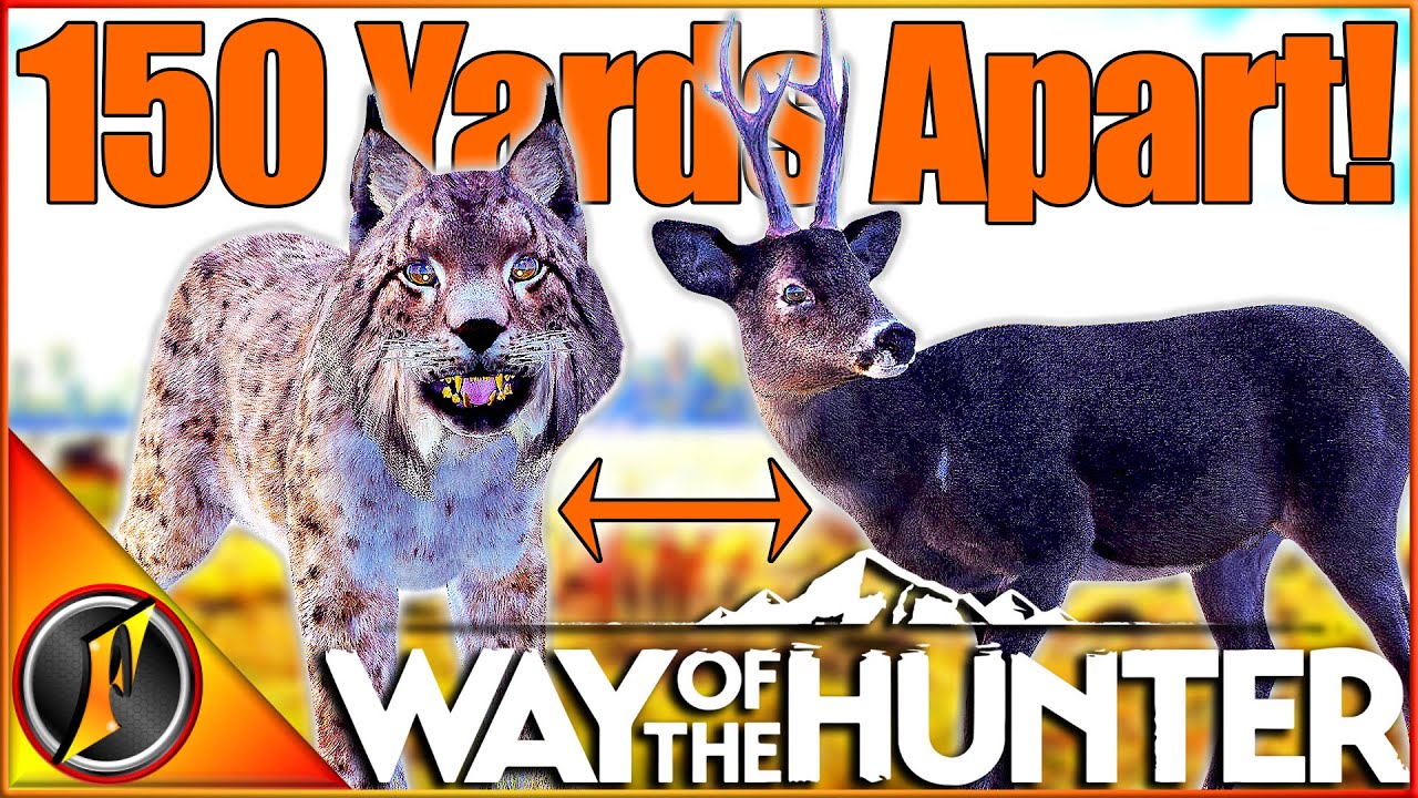 INSANE LUCK! 5 Star Lynx + Melanistic Roe Deer 150 Yards Apart! | Way of the Hunter