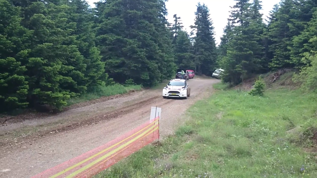 Ford Fiesta R5 EVO 2 Qatar 