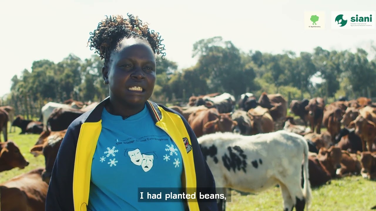 Resilient Drylands: East Africa’s Journey to Sustainability