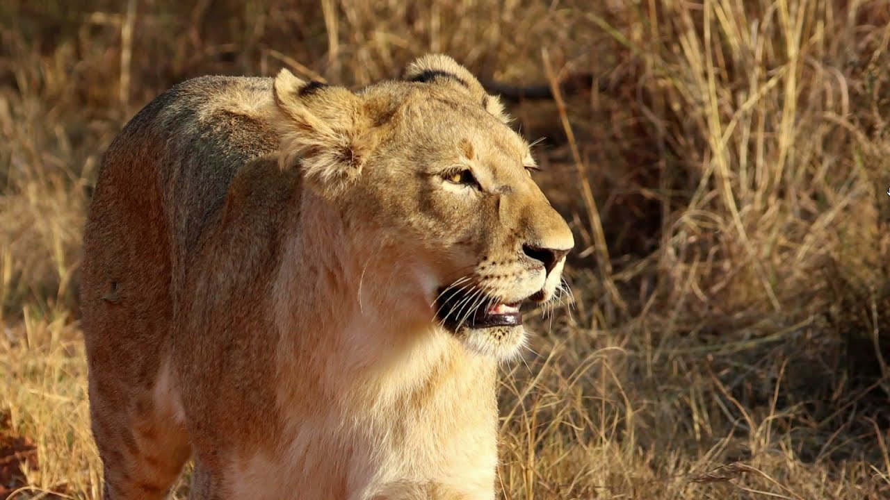 Africa - A summary of significant sights and parks in the southern African countries