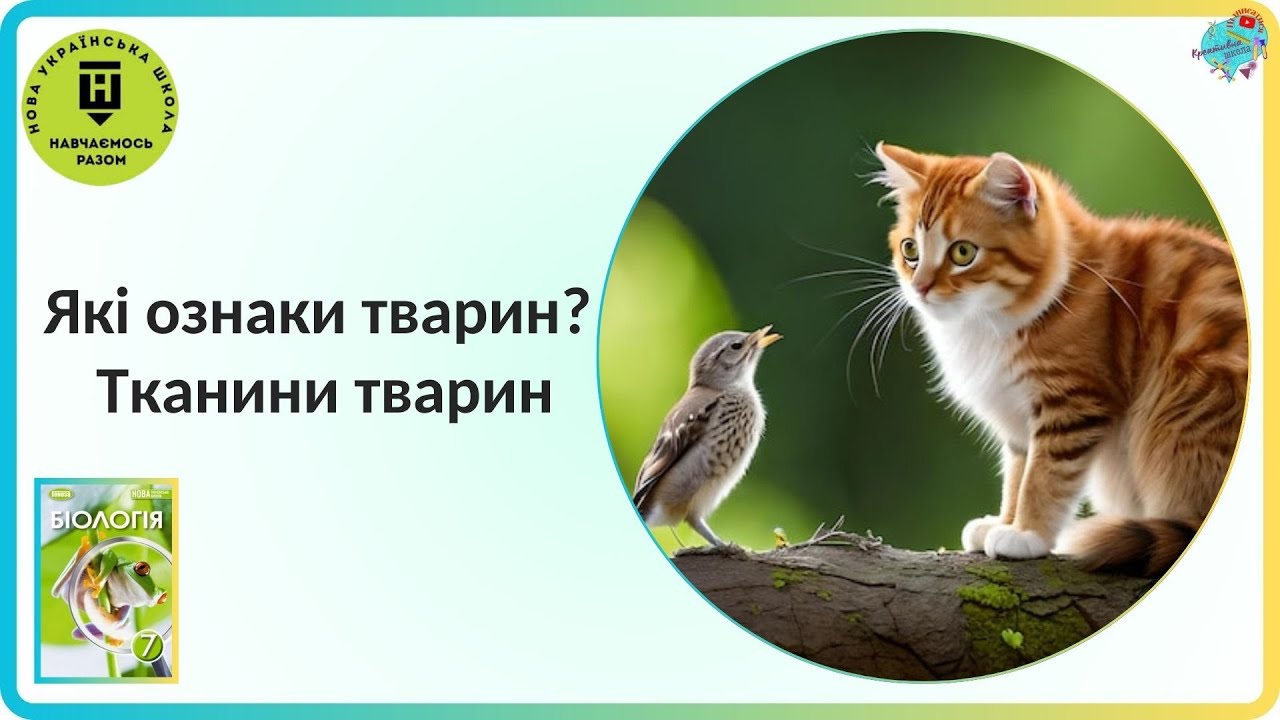Які ознаки тварин? Тканини тварин