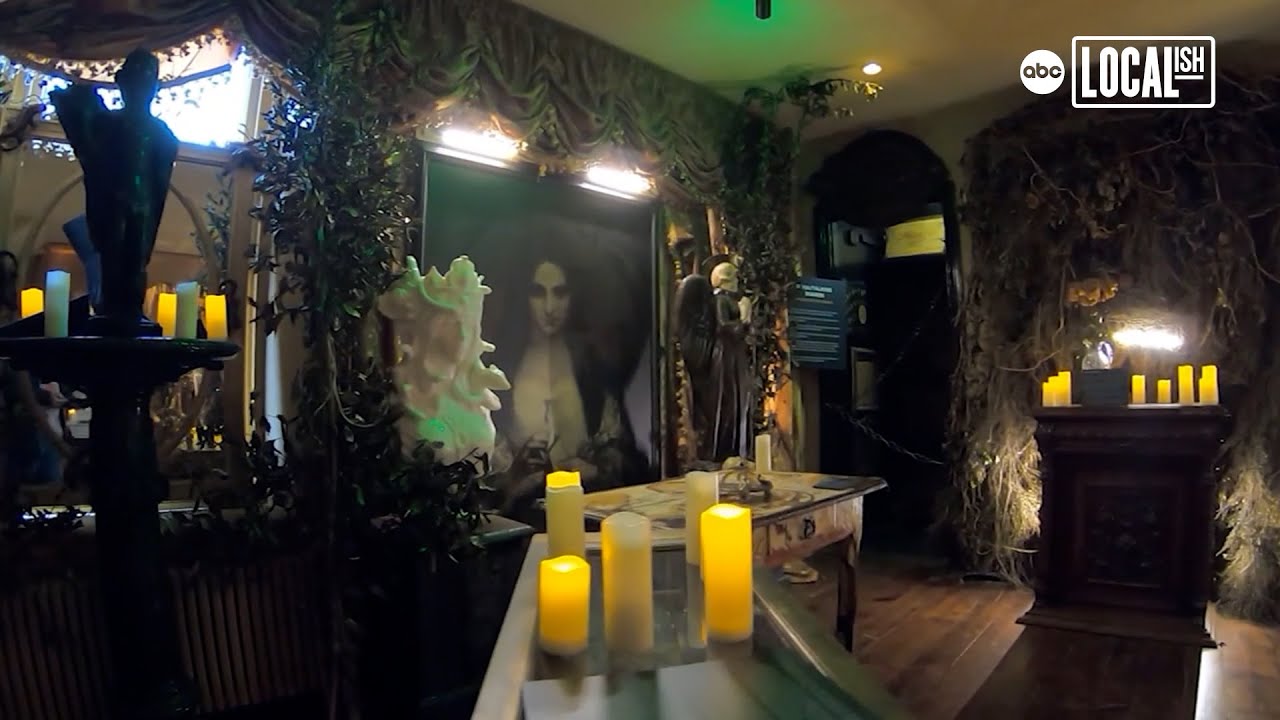 Vampires and the paranormal...oh my!